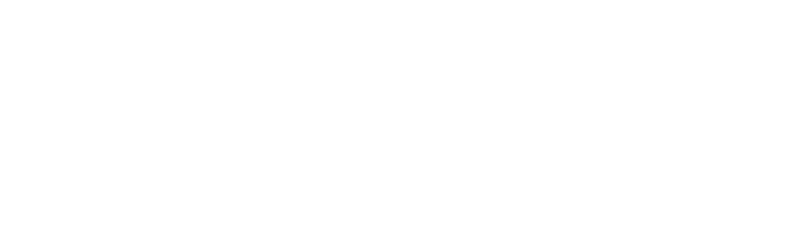 NEW TECH FF27 logo_FNL