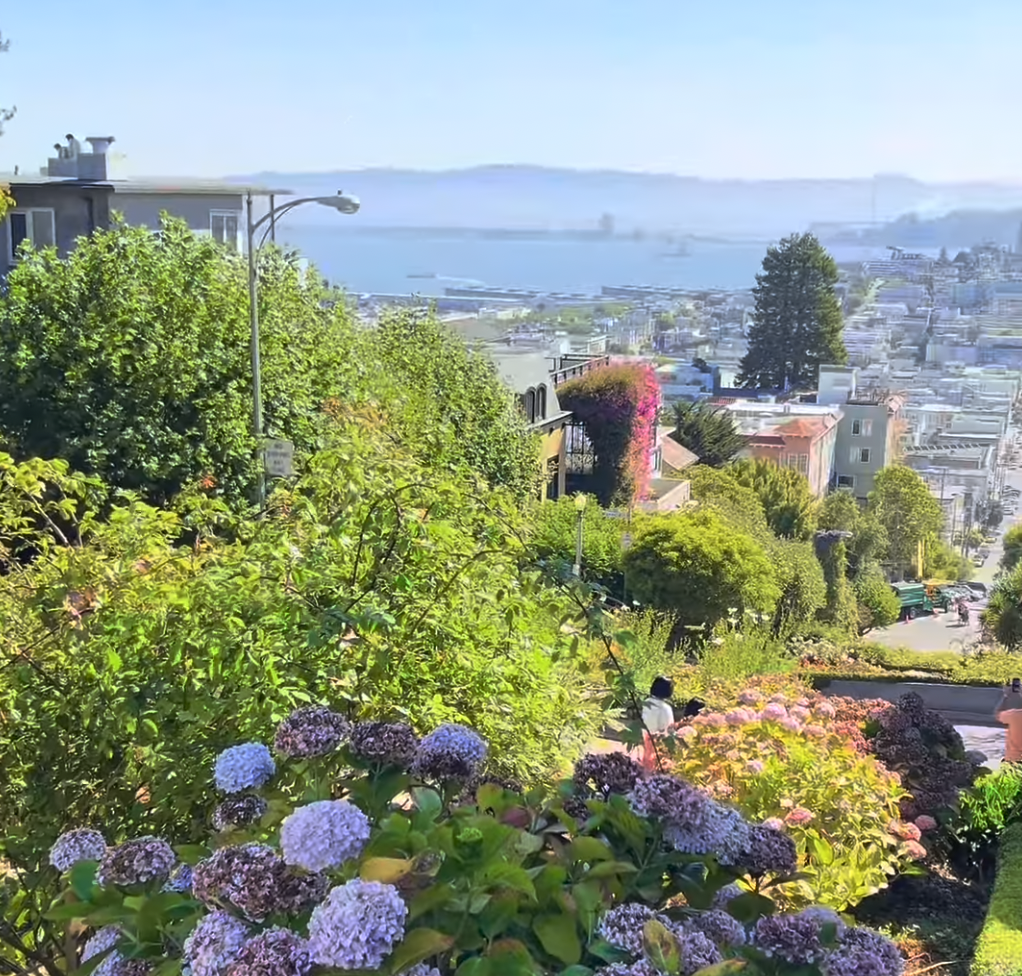 3 Must-see Places to Visit